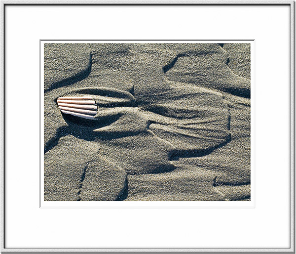 Image ID: 100-161-3 : Shell and Sand 